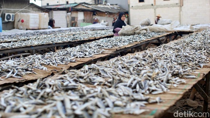 Penurunan Produksi Ikan Asin Akibat Cuaca Perajin mengolah ikan asin di kawasan Muara Angke, Jakarta. Rabu (7/1/2024). Produksi ikan asin di kawasan tersebut dalam beberapa pekan terakhir mengalami penurunan hingga 40 persen, akibat cuaca yang tidak menentu.