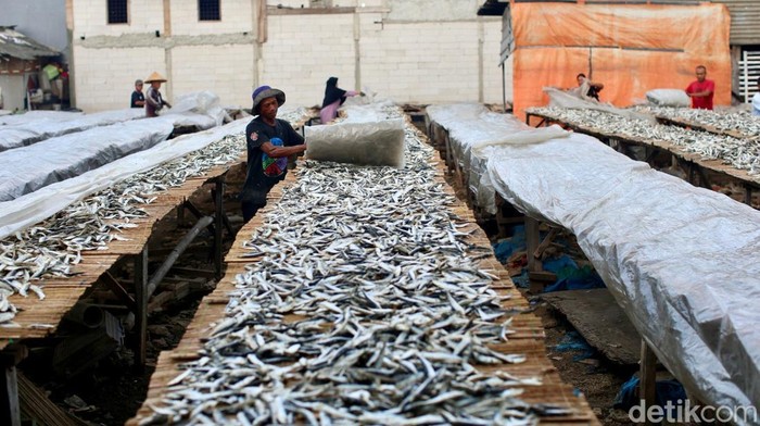 Perajin mengolah ikan asin di kawasan Muara Angke, Jakarta. Rabu (7/1/2024). Produksi ikan asin di kawasan tersebut dalam beberapa pekan terakhir mengalami penurunan hingga 40 persen, akibat cuaca yang tidak menentu.