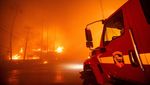 Potret Petugas Damkar Berjibaku Padamkan Kebakaran Hutan California