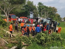 Bus Murni Jaya Terguling Nyemplung Sawah di Panjatan Kulon Progo