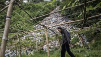 Warga berjalan di dekat tempat pembuangan sampah (TPS) ilegal di Gudangkahuripan, Lembang, Kabupaten Bandung Barat, Jawa Barat, Rabu (8/1/2025).   
