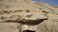 Penemuan pemakaman dari awal Dinasti ke-18 juga membuktikan bahwa Saqqara mulai digunakan sebagai pekuburan untuk Kerajaan Baru ketika Memphis ditetapkan kembali sebagai ibu kota Mesir setelah pengusiran Hyksos. Foto: (Kementerian Pariwisata dan Kepurbakalaan Mesir)