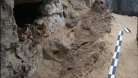 Selama pembersihan, tim menemukan sisa-sisa mumi manusia, model terakota dari kuil pemakaman, pecahan kepala terakota yang menggambarkan dewi Isis dan Aphrodite, serta potongan peti mati kayu dan tembikar.  Foto: (Kementerian Pariwisata dan Kepurbakalaan Mesir)