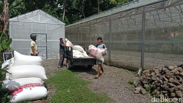 Anak-anak muda bertani di Kota Tasikmalaya
