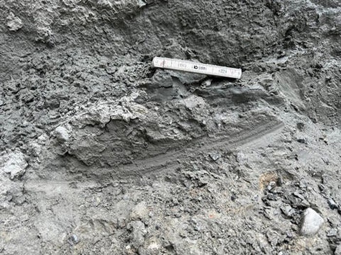 Contoh goresan melengkung di Sesar Alpine