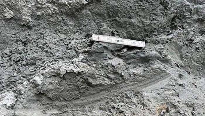 Contoh goresan melengkung di Sesar Alpine