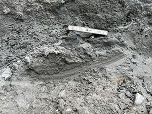 Ilmuwan Menemukan Metode Baru untuk Memprediksi Gempa, Begini Caranya