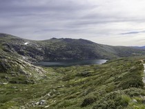 Pendaki Hilang di Taman Nasional Australia Akhirnya Ketemu Setelah 13 Hari Pencarian