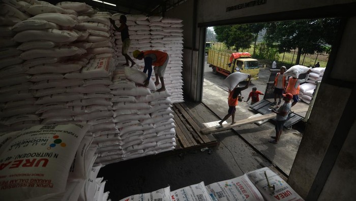 Distribusi 3.500 Ton Pupuk Subsidi untuk Dukung Swasembada Pangan Pekerja memindahkan pupuk bersubsidi yang akan didistribusikan ke dalam truk di Gudang Lini III Klaten PT Pupuk Indonesia di Ceper, Klaten, Jawa Tengah, Kamis (9/1/2025). Gudang lini III Klaten PT Pupuk Indonesia yang mampu menampung 7.000 ton pupuk itu saat ini terisi 3.500 ton pupuk bersubsidi untuk didistribusikan ke 153 kios di wilayah Klaten dan Boyolali sebagai kebutuhan petani dalam mendukung terwujudnya swasembada pangan. ANTARA FOTO/Aloysius Jarot Nugroho/Spt.