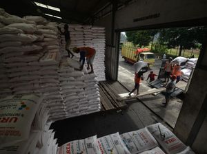 Serapan 2024 Rendah, Alokasi Pupuk Subsidi Sumsel Naik Tahun Ini