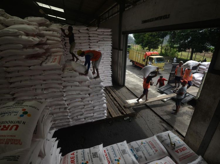Distribusi 3.500 Ton Pupuk Subsidi untuk Dukung Swasembada Pangan