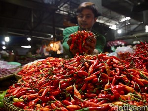 Pemerintah Klaim Stok Cabai Surplus, Tapi Kok Harga Makin Mahal?