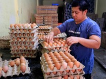 Harga Sembako Jogja Hari Ini 23 Juni 2025: Bawang Turun, Telur Naik Tipis