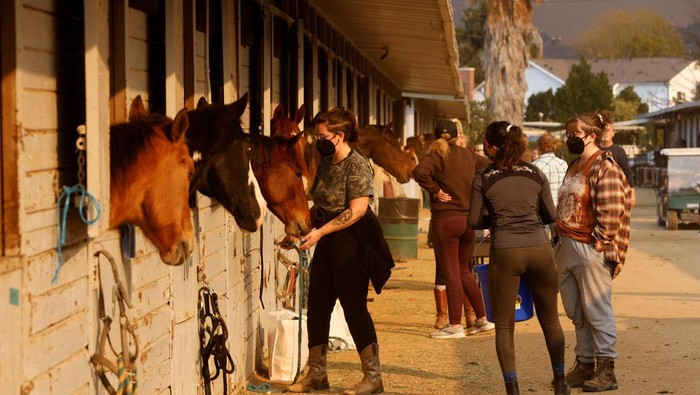 Jodi Lakatos unloads the last of her 15 horses at the Los Angeles Equestrian Center after evacuating Altadena as large animals are evacuated from a number of wildfires, in Burbank, California, U.S. January 8, 2025. REUTERS/Carlin Stiehl