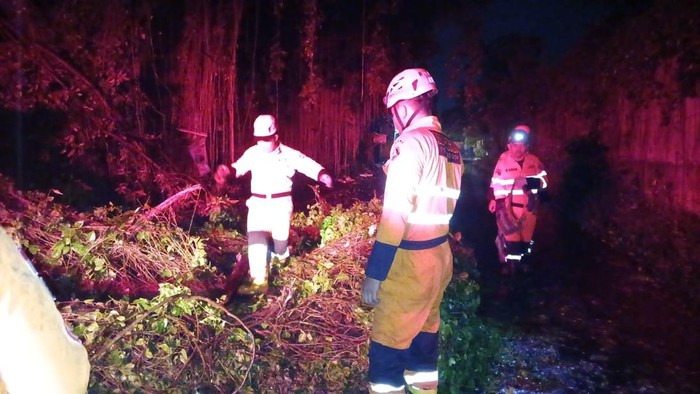 Hujan deras disertai angin kencang mengakibatkan pohon tumbang terjadi di Baranangsiang, Kota Bogor. (dok BPBD Kota Bogor)