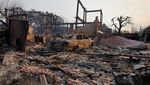 Kebakaran Hutan di AS Merembet ke Rumah, 5 Orang Tewas