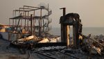 Kebakaran Hutan Hancurkan Kawasan Elite Pacific Palisades di California