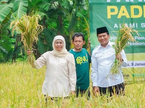 #DemiIndonesia Mandiri Pangan, Khofifah Bicara Siasat Atasi Kendala Lahan