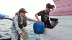 KN. Ular Laut-405 Selamatkan Kapal Terombang Ambing di Laut Flores