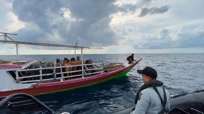 KN. Ular Laut-405 Selamatkan Kapal Terombang Ambing di Laut Flores
