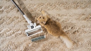 Acerpure Clean (SV552-10W). Acerpure Clean memiliki daya hisap kuat 23,000 Pa yang memastikan debu dan kotoran terhisap sempurna. Foto: Dok. Acer