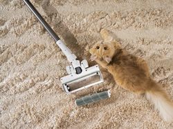 Aneka Produk Home Appliances Acerpure, Naksir yang Mana?