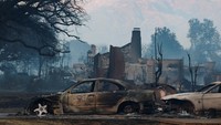 Kebakaran hutan menyebabkan setidaknya lima orang dilaporkan tewas, lebih dari 150.000 penduduk dievakuasi, dan lebih dari 1.100 rumah hancur, karena api menyebar tanpa kendali di seluruh Los Angeles County. REUTERS/Fred Greaves