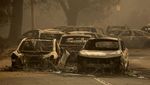 Mobil-mobil Hangus Terbakar Saat Kebakaran Hutan Landa California
