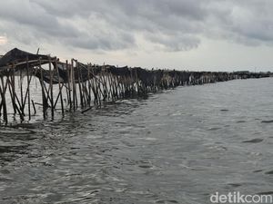 Pagar Laut dan Konflik Perebutan Ruang