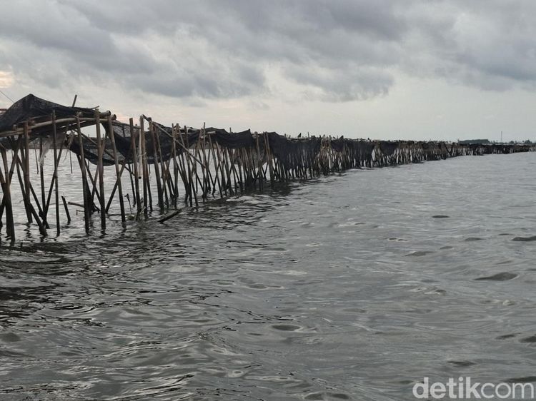 Melihat dari Dekat Pagar Misterius 30,16 Km di Laut Tangerang