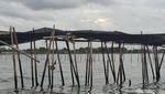 Melihat dari Dekat Pagar Misterius 30,16 Km di Laut Tangerang