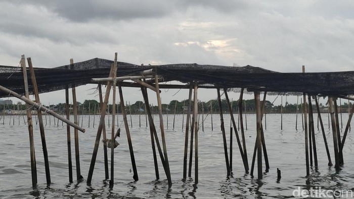 Pagar misterius 30,16 km di Laut Tangerang