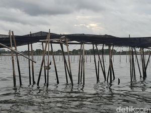 Pagar Misterius 30 Km di Laut Tangerang Dibongkar! Target 2 Km/ Hari