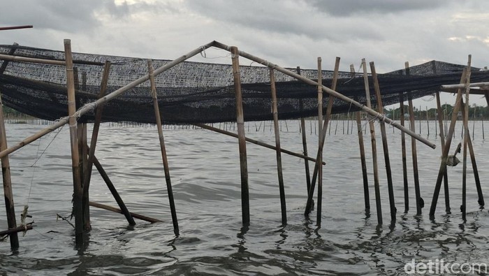 Pagar misterius 30,16 km di Laut Tangerang Pagar misterius 30,16 km di Laut Tangerang