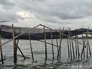 Tak Cuma Tangerang, Pagar Laut Juga Ditemukan di Bekasi