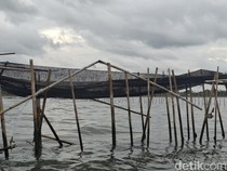 Pagar Misterius di Laut Tangerang Diklaim buat Cegah Abrasi