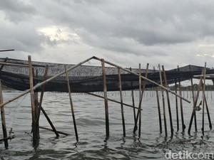 Tak Cuma Tangerang, Pagar Laut Juga Ditemukan di Bekasi