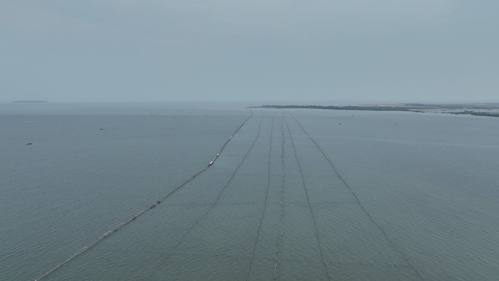 Penampakan pagar laut di pesisir Tangerang, Banten. (Dok. KKP)