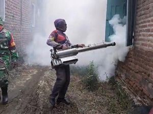 Waspada! Kasus DBD di Mojokerto Biasanya Melonjak pada Februari-Maret