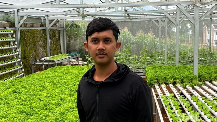 Petani Milenial Aap Abdul Fatah.