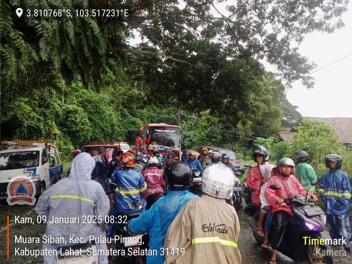 Pohon tumbang di jalan lintas Lahat-Pagar Alam mengakibatkan kemacetan hingga 3 jam.