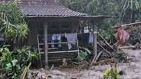 Belum ada laporan korban jiwa dalam kejadian ini. Namun kerugian materi ditaksir mencapai puluhan juta.