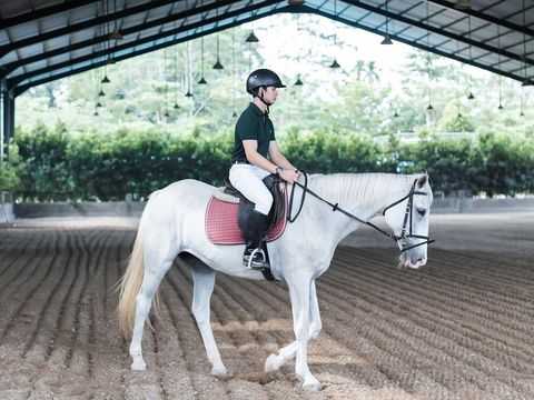 Berkuda di Jericho Stable, Sergai