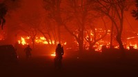 Kebakaran Palisades, yang dimulai pada hari Selasa dan telah membakar daerah kantong pantai Pacific Palisades di Los Angeles, masih belum dapat dikendalikan hingga Kamis malam, ketika para pejabat mengatakan pengendalian telah mencapai 6%. AP/Etienne Laurent