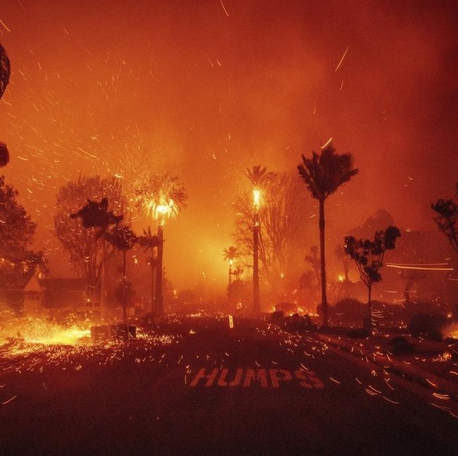 Januari 2025: Kebakaran LA Mengguncang Dunia hingga MBG Resmi Bergulir