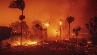 Pejabat daerah dan kota telah mengonfirmasi bahwa jumlah korban tewas dari dua kebakaran utama di dan sekitar Los Angeles telah meningkat menjadi tujuh. AP/Ethan Swope