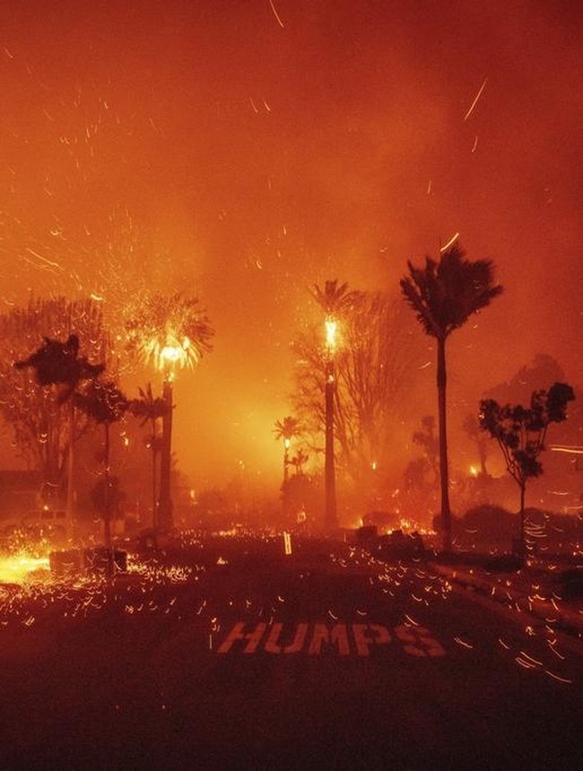 Januari 2025: Kebakaran LA Mengguncang Dunia hingga MBG Resmi Bergulir