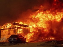 Los Angeles Masih Terbakar, Api Diprediksi Meluas karena Embusan Angin