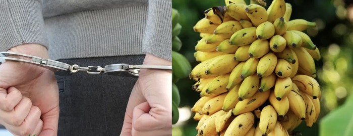 Duh! Ayah 3 Anak Ini Ketahuan Curi Pisang dan Dipenjara 3 Bulan