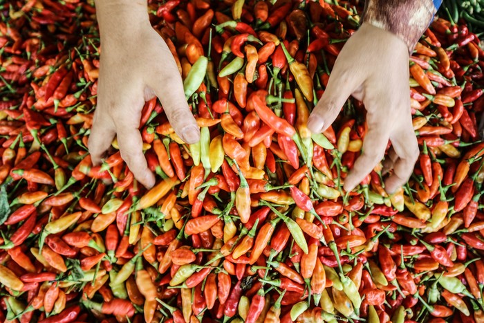 Pedagang melayani pembeli cabai di Pasar Besar Palangka Raya, Kalimantan Tengah, Jumat (10/1/2025). Menurut pedagang, harga cabai di pasar tersebut mengalami kenaikan seperti cabai tanjung dari harga Rp50 ribu menjadi Rp100 ribu per kilogram, cabai rawit dari Rp70 ribu menjadi Rp110 ribu per kilogram dan cabai hijau dari Rp30 ribu menjadi Rp70 ribu per kilogram karena kurangnya pasokan. ANTARA FOTO/Auliya Rahman/nym.